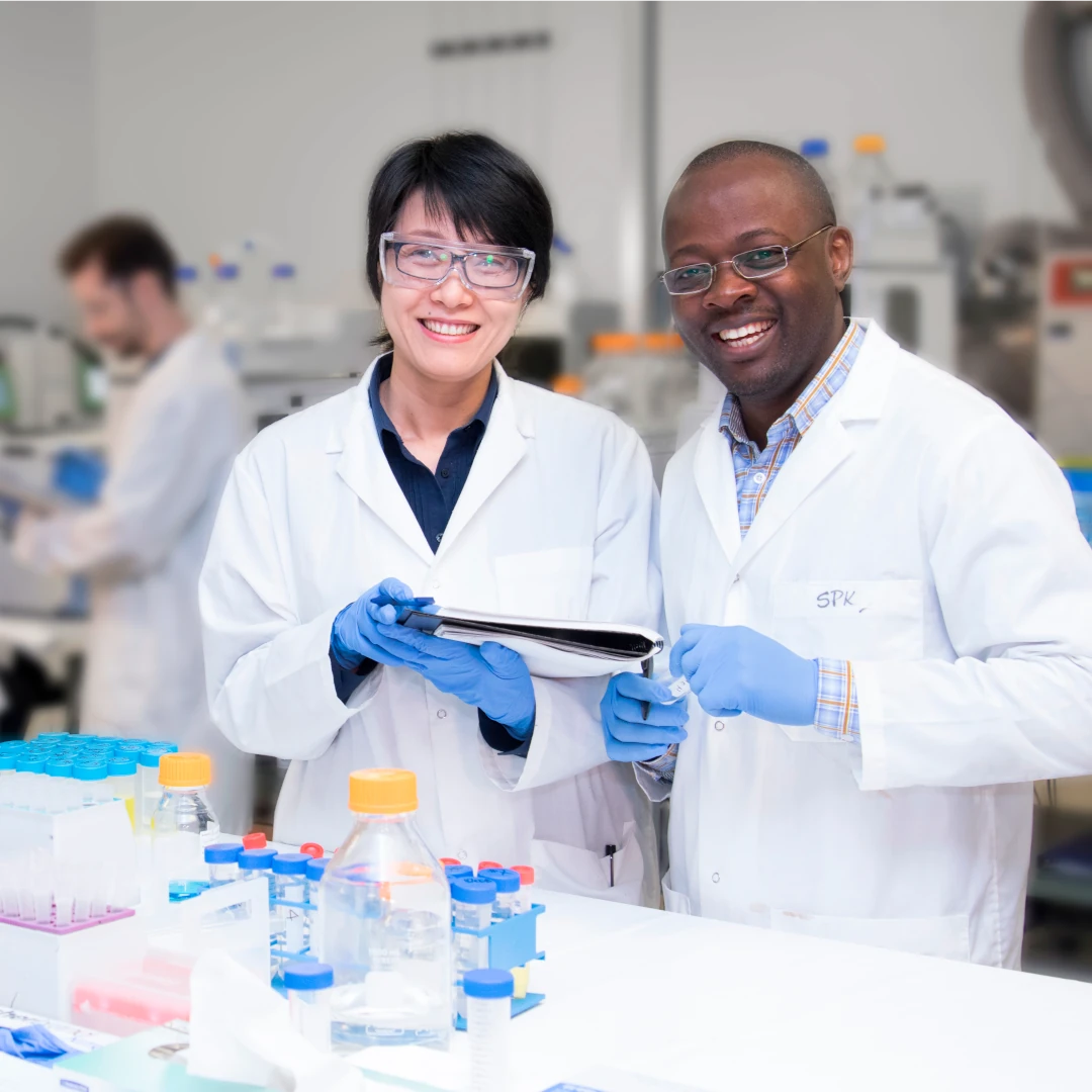 lab